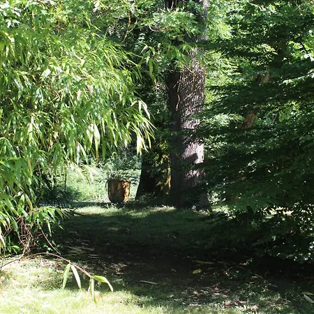 Lili Paradis Bed & Breakfast 4*